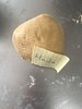 S__126853140_0.jpg