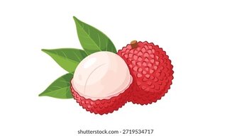 xiao_li_zhi